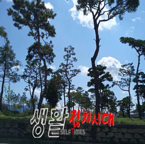생활정치시대