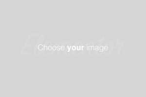 SELFNGO 생활정치연구소
